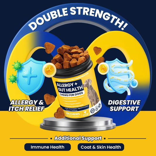 473fbe8b-9f59-4066-9ef1-b7e25341ac23