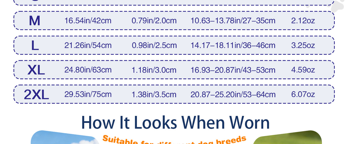 3ac984b3-4341-4501-a6ea-6244e22a46ee