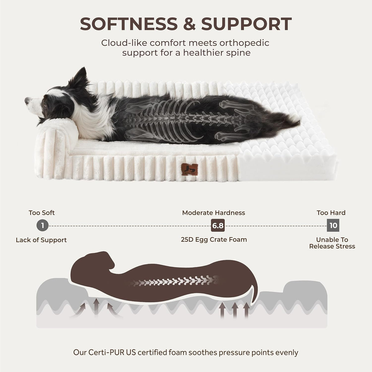 704d65d5-a11a-4561-ae2f-004477548edd