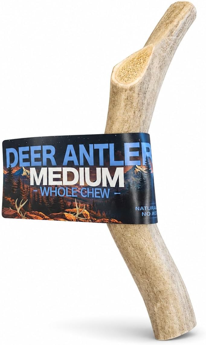 5633eeaa-b051-4ff3-bdf4-fa56a42e55ba