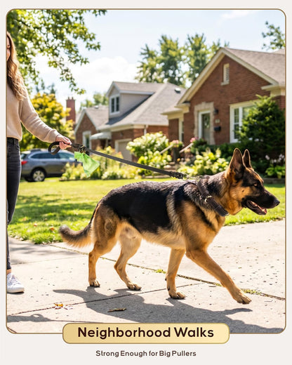 98f8e6e0-71fa-43ed-8362-668081ede20b