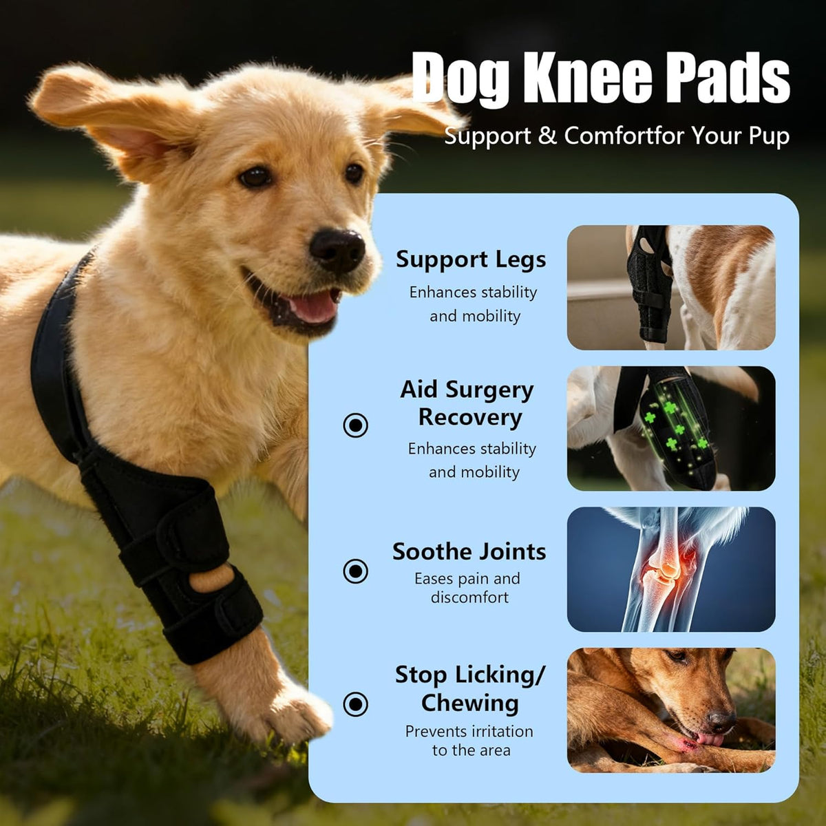 13f16d23-f16f-4e15-8116-2a24eff4c774