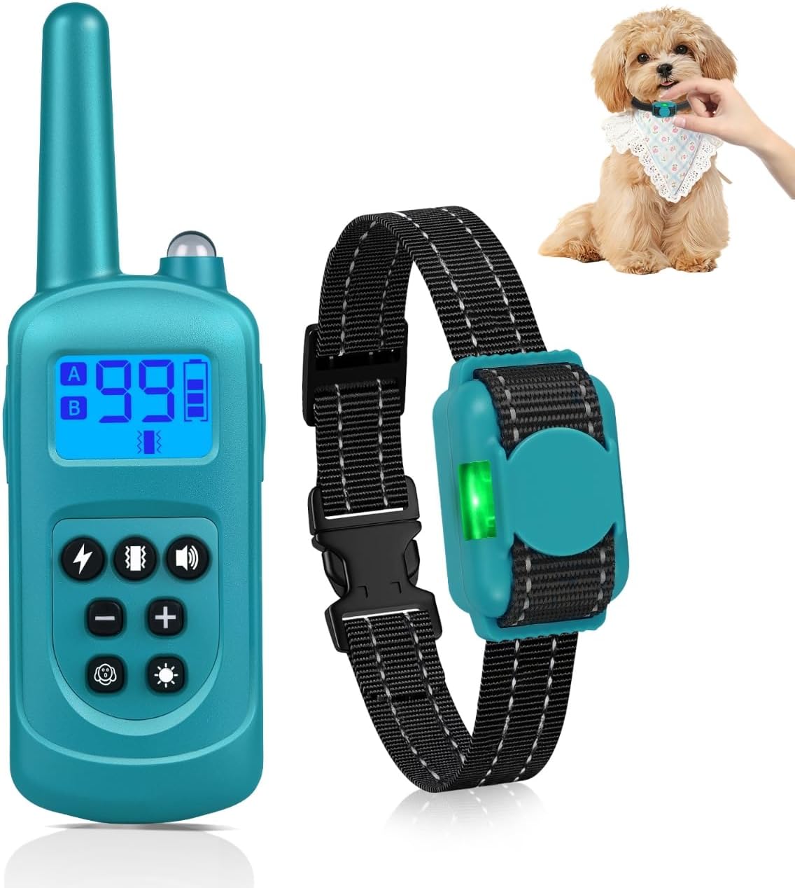 e949e2cd-d924-4cf7-9255-2e4770bdd348