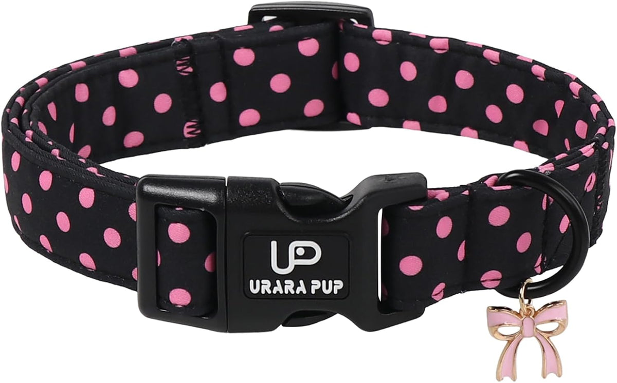 224ca2c1-eb89-405a-bda7-b8069de0b799