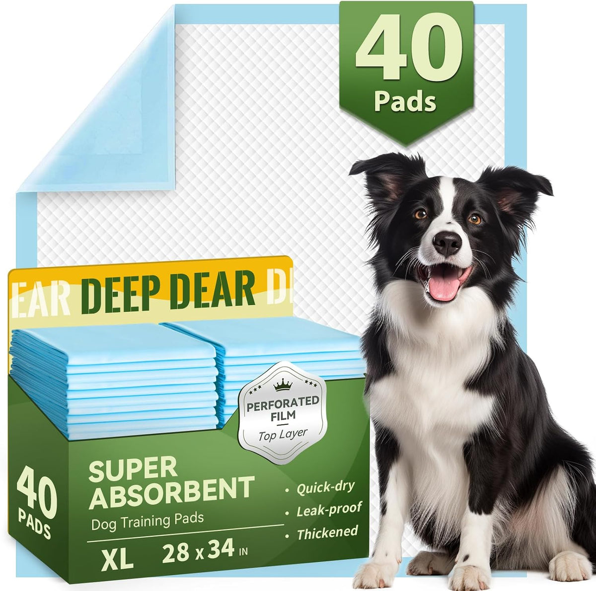 b0a640e6-85ae-42d0-90dc-5423ee6d34d3