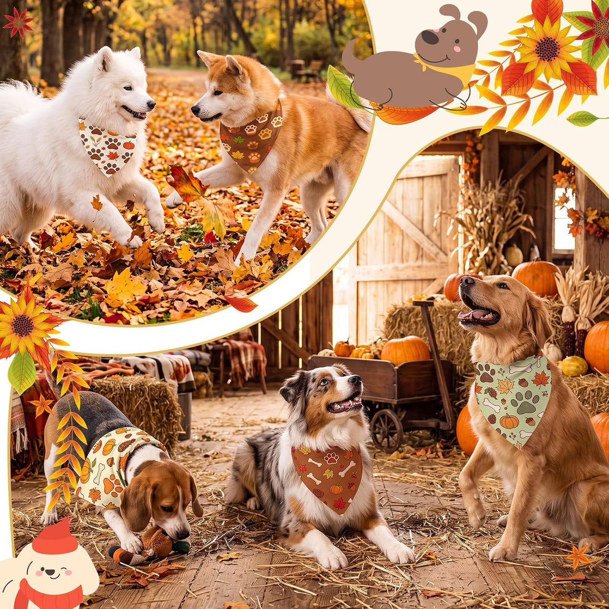 0a95d7e5-18ed-43e5-85ff-f3b4f8bf1842