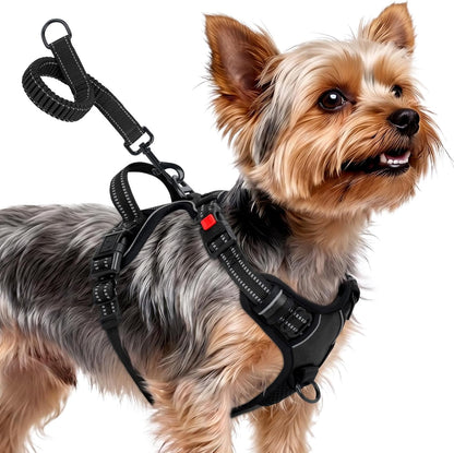 4706db83-11ec-4155-bfda-f302052f070e