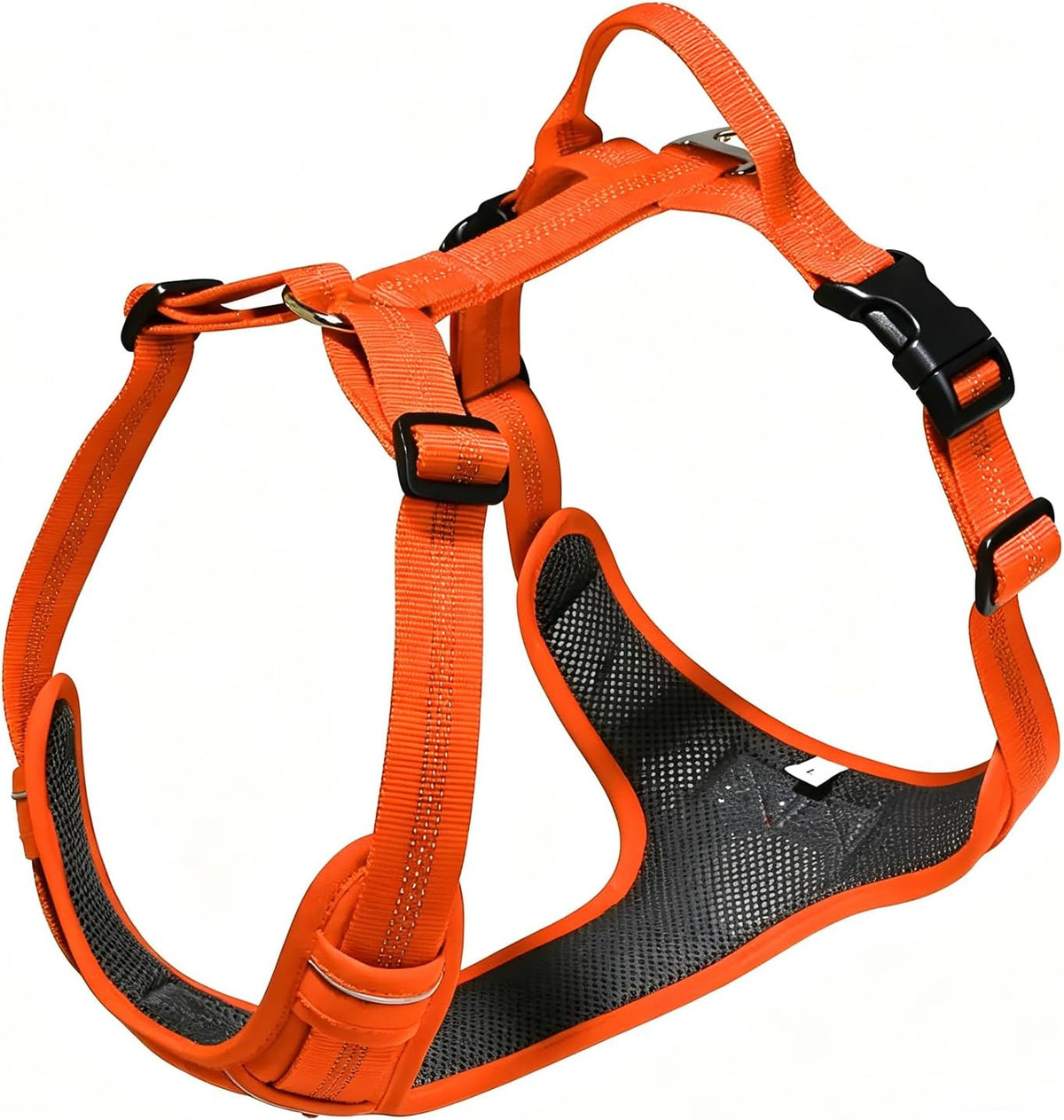 95e1a9d9-17ef-4d98-bf53-32141a1326e9