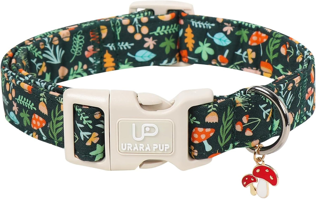 30eb67a0-dc14-4196-890b-5e530c11c6f2
