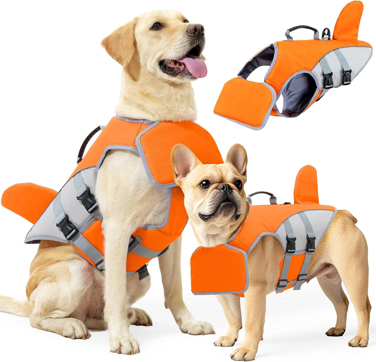 2f80119a-a091-4a15-9f6f-5212af746456