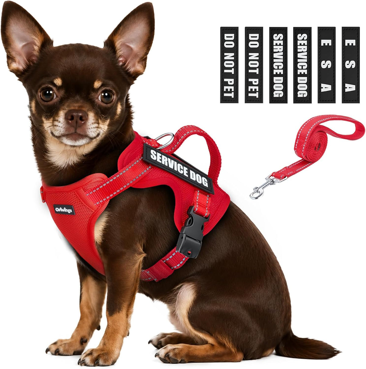 c2dcccae-cbb3-4309-8947-708121b3d34f