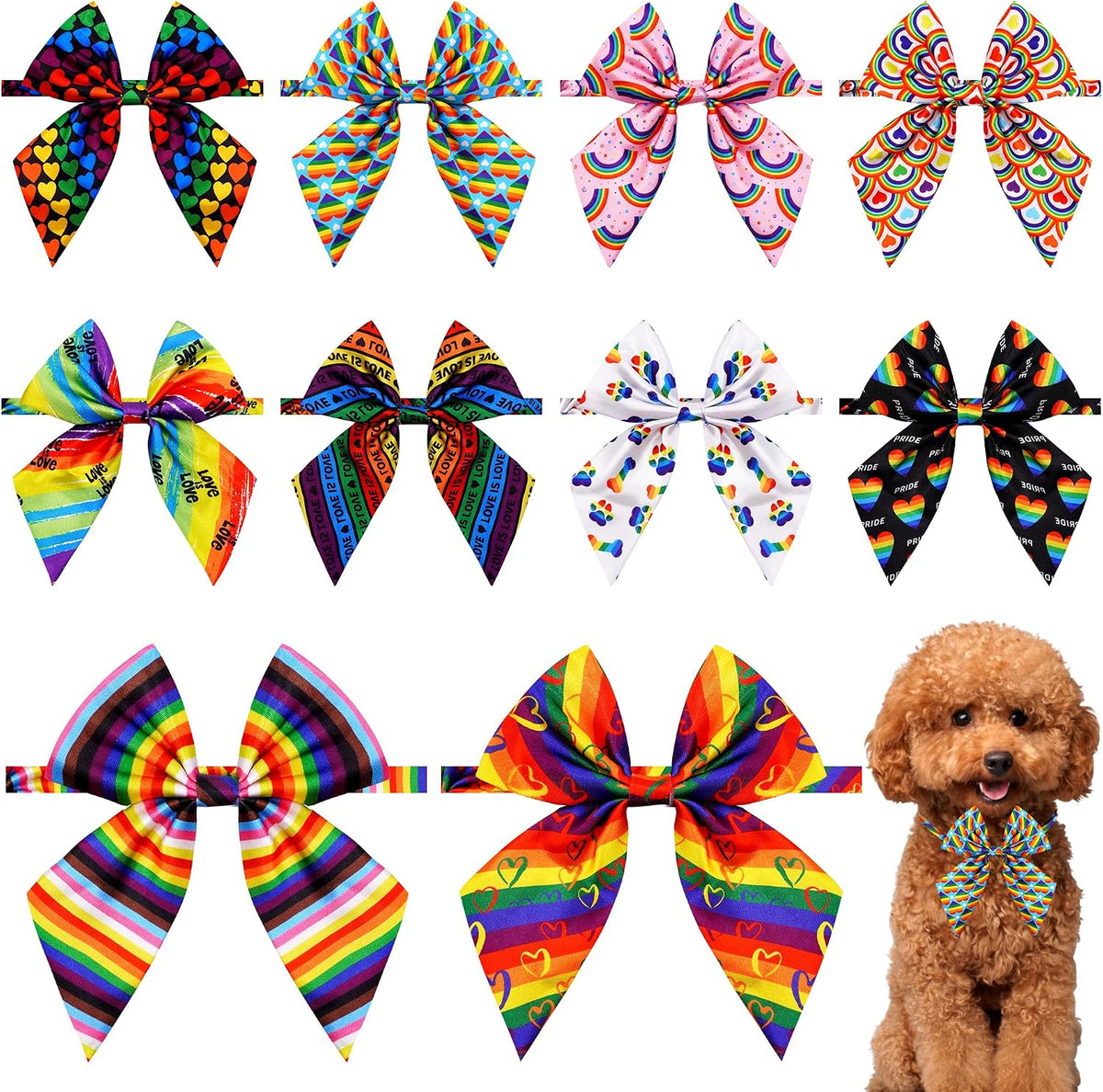 8ed088e0-277e-48b4-9773-b221bd90cb34