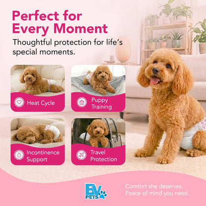 e3569d37-d424-4792-a573-2c1fe7692260
