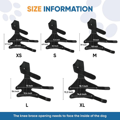 630495ab-ed5c-4cca-a9d6-04f6f4539f2b