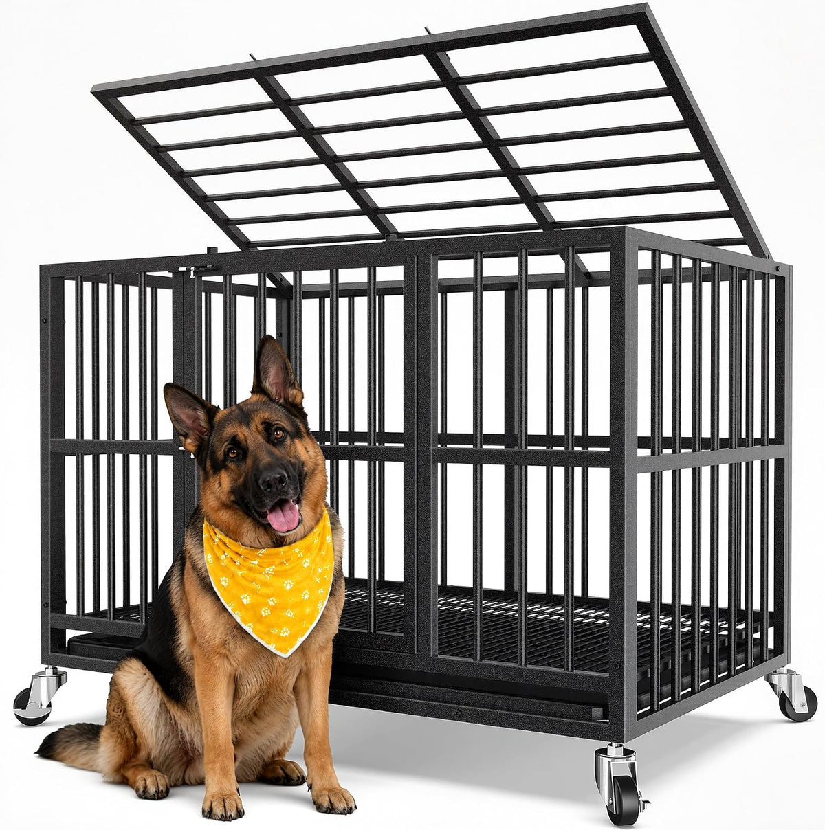 81d60116-9a51-4583-b6eb-efdea7775760