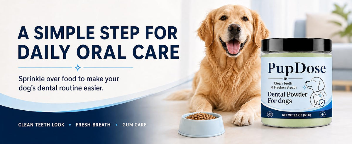 f262cdcf-c744-4c4d-86b0-501d29816a17