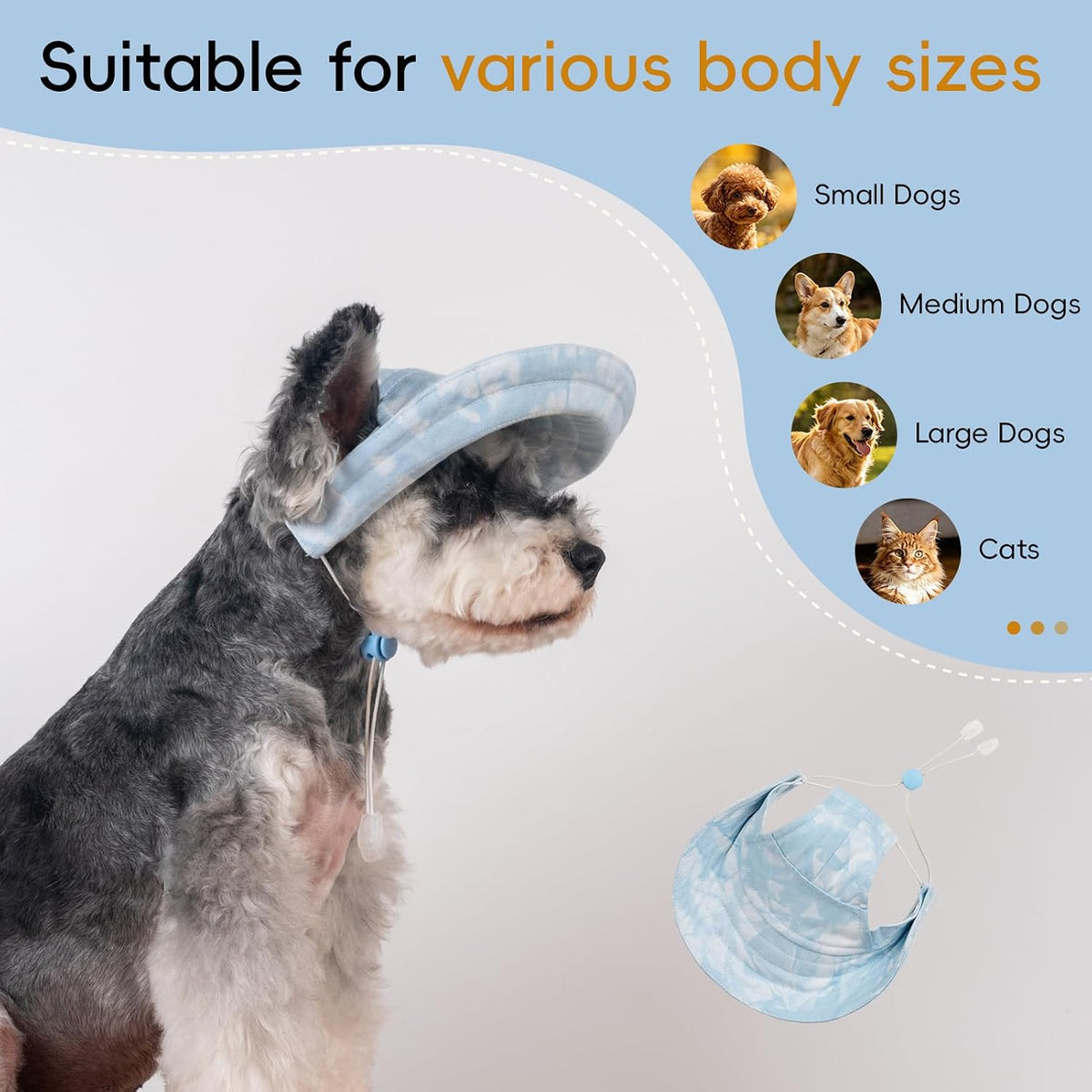 81b6bed6-2cea-4333-a800-bea9e749563a