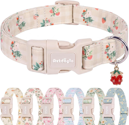 d533130d-9bdd-475f-ac52-3aab51b9baaa